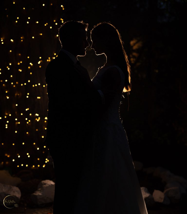 Beautiful silhouette. Wedding couple