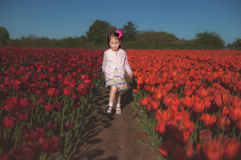 girl in tulip field in kings lynn